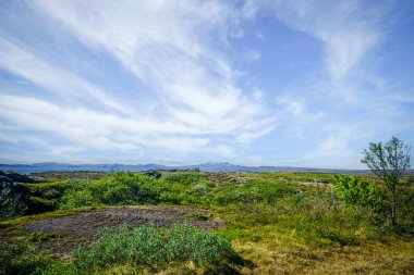 İzlanda 'dan çiğ doğa güneşli bir günde engebeli manzaranın güzel bir manzarası var.