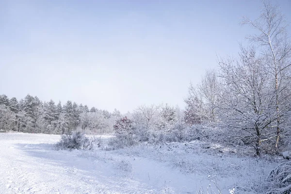 雪に覆われた風景と青い空を持つ12月の明るい日の冬の風景 ロイヤリティフリーのストック画像