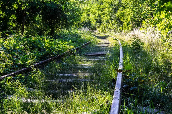 Kontrast Rostige Eisenbahn Grünen Gras — Stockfoto
