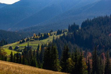 Karpat Dağları, Ukrayna 'da kırsal çayırları olan güzel bir manzara..