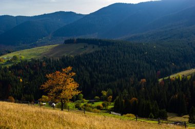 Güzel sonbahar manzarası. Dağ vadisinin muhteşem sonbahar manzarası. Dağ köyü, Karpatlar, Ukrayna, Avrupa 'nın muhteşem sabah manzarası. Güzel sonbahar manzarası.