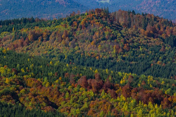 Schöne Landschaft Mit Bäuerlicher Wiese Den Karpaten Ukraine — Stockfoto