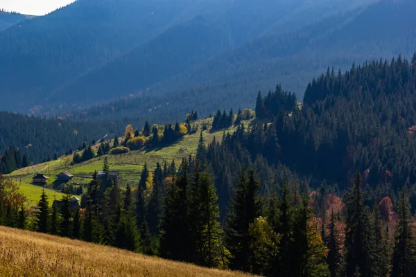 Paisagem Agradável Com Prado Rural Nas Montanhas Dos Cárpatos Ucrânia — Fotografia de Stock