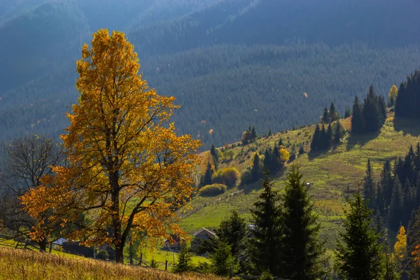 stock image Colorful landscape with autumn trees and rural houses on the slopes and in the valley in the mountain village. Carpathian mountains, Ukraine.