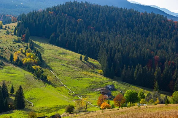 Schöne Herbstkulisse Fabelhafter Blick Auf Das Bergtal Herbst Herrliche Morgenszene — Stockfoto