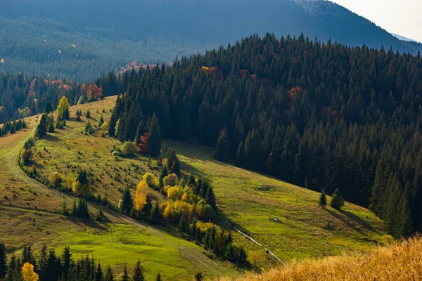 Pěkná Krajina Venkovskou Loukou Karpat Ukrajina — Stock fotografie