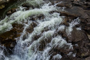 Şelale ve orman Karpat Dağları akışında. Ukrayna. Europe.