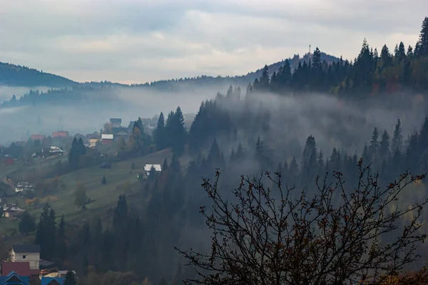 Herbstliche Landschaft Mit Nebel Den Bergen Tannenwald Auf Den Hügeln — Stockfoto