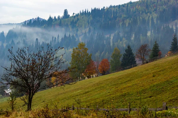 Schöne Herbstkulisse Fabelhafter Blick Auf Das Bergtal Herbst Herrliche Morgenszene — Stockfoto