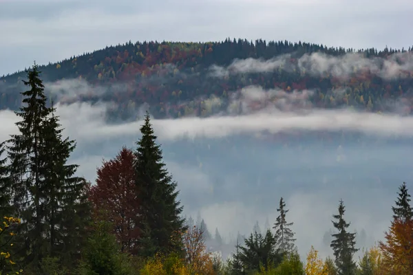 Herfstlandschap Met Mist Bergen Vuurbos Heuvels Karpaten Oekraïne Europa Hoge — Stockfoto