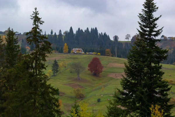 美丽的秋天风景 秋天美丽的山谷景色 位于乌克兰喀尔巴阡山脉 欧洲山区的壮丽的晨景 美丽的秋天风景 — 图库照片