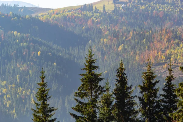 Acogedora Velada Cárpatos Paisaje Verano Montañas Ucrania Europa — Foto de Stock