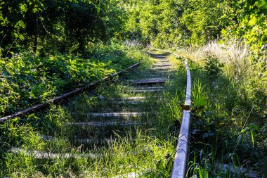 Kontrastlı paslı tren yolu yeşil çimlerle kaplı..