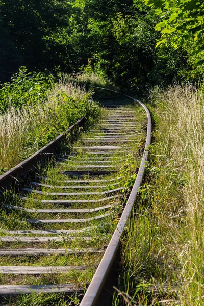 contrast rusty train railway in green grass overgrown.