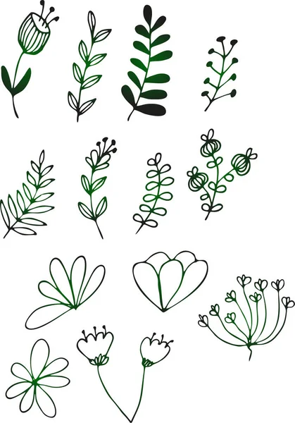 Vektorsammlung Handgezeichneter Pflanzen Botanische Skizze Von Blumen Und Zweigen — Stockvektor