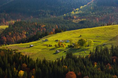 Karpatlar 'da sıcak bir akşam. Dağlarda yaz manzarası. Ukrayna, Avrupa.