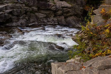 Şelale ve orman Karpat Dağları akışında. Ukrayna. Europe.