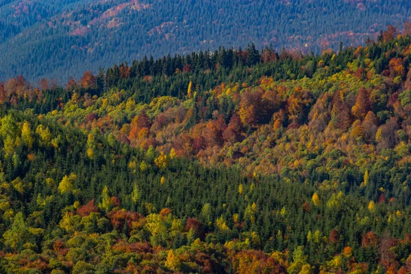 Vackert Landskap Med Lantäng Karpaterna Ukraina — Stockfoto