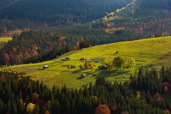 Gemütlicher Abend Den Karpaten Sommerlandschaft Den Bergen Ukraine Europa — Stockfoto