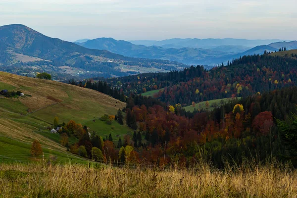 美しい秋の景色 山の谷の素晴らしい秋の景色 山の村 カルパティア ウクライナ ヨーロッパの豪華な朝のシーン 美しい秋の風景 — ストック写真