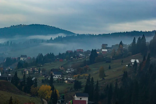 Dağlarda Sis Olan Sonbahar Manzarası Tepelerdeki Firavun Ormanı Karpatlar Ukrayna — Stok fotoğraf