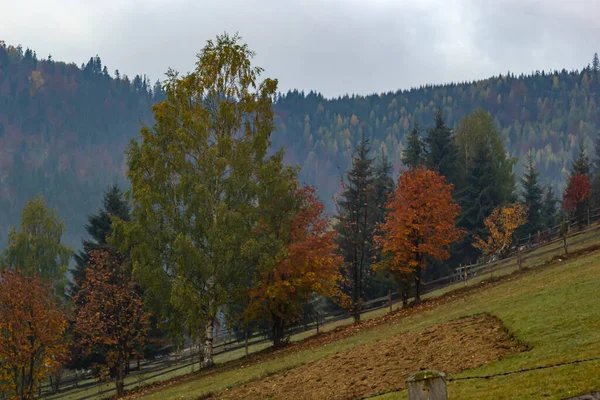 Kleurrijk Landschap Met Herfstbomen Landelijke Huizen Pisten Het Dal Het — Stockfoto