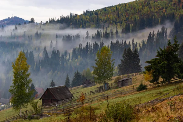 Őszi Táj Köddel Hegyekben Fenyőerdő Hegyekben Kárpátok Ukrajna Európa Kiváló — Stock Fotó