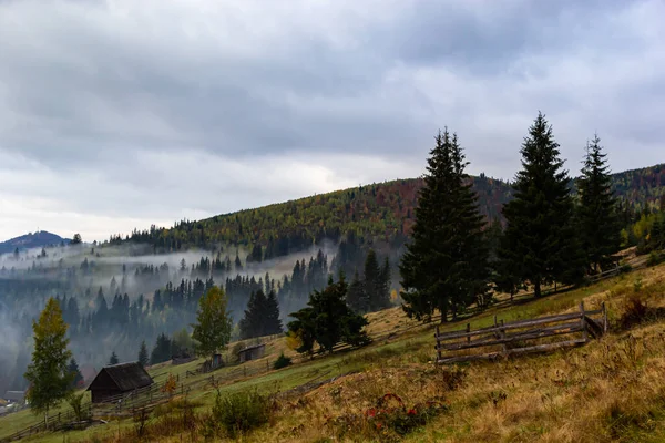 Paisaje Otoñal Con Niebla Las Montañas Bosque Abeto Las Colinas — Foto de Stock