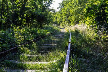 Kontrastlı paslı tren yolu yeşil çimlerle kaplı..