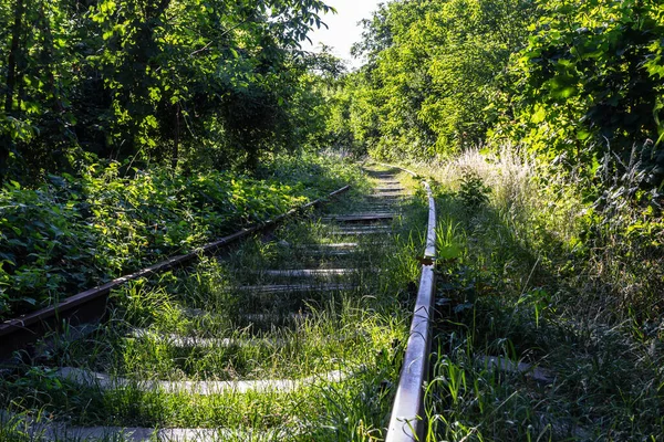 緑の草に覆われた対照的な錆びた鉄道は — ストック写真