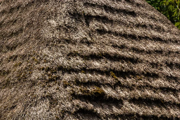 Strohdach Gräser Strohdach Hintergrundstruktur Dach Bedeckt Mit Getrocknetem Gras Strohmuster — Stockfoto