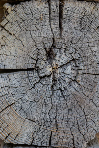 木の切り株の抽象的なテクスチャ クラック木材古代 クラック木材テクスチャの背景 — ストック写真