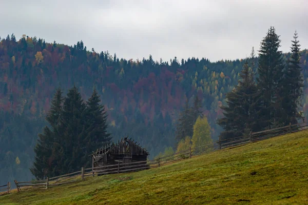 Höstlandskap Med Dimma Fjällen Fir Skogen Kullarna Karpaterna Ukraina Europa — Stockfoto