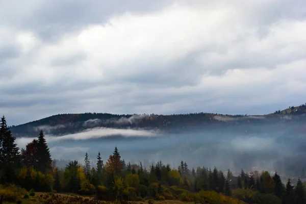 Herfstlandschap Met Mist Bergen Vuurbos Heuvels Karpaten Oekraïne Europa Hoge — Stockfoto