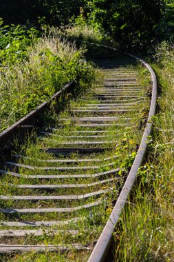 Kontrastlı paslı tren yolu yeşil çimlerle kaplı..