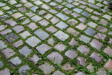 Yoldaki kaldırım taşında yeşil çimenler var. Kentsel planlama, vintage, seyahat temasının arkaplan resmi.