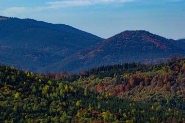 Karpatlar 'da sıcak bir akşam. Dağlarda yaz manzarası. Ukrayna, Avrupa.