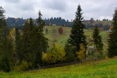 Karpatlar 'da sıcak bir akşam. Dağlarda yaz manzarası. Ukrayna, Avrupa.
