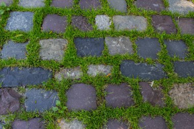 Yoldaki kaldırım taşında yeşil çimenler var. Kentsel planlama, vintage, seyahat temasının arkaplan resmi.