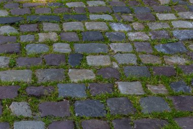 Yoldaki kaldırım taşında yeşil çimenler var. Kentsel planlama, vintage, seyahat temasının arkaplan resmi.