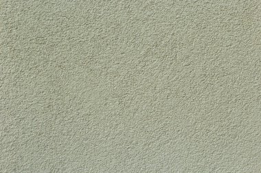 Kabuk böceği dokusunda biçimlendirilmiş dekoratif beyaz duvar alçı deseni. Duvarın yüzeyinin beyaz dokusu ahşap kurdunun dekoratif alçısıyla kaplıydı, yakın plan soyut arka plan.