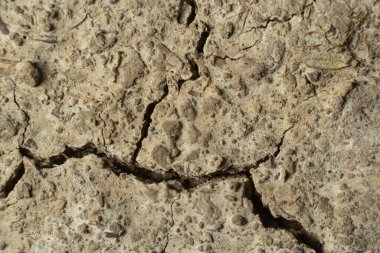 Zemin, kuraklık ve ölüm kavramına sahip arka plan veya grafik tasarımı için üst görünümde çatlaklar var..