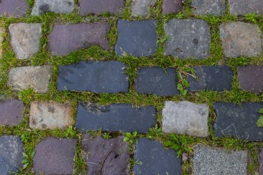 Yoldaki kaldırım taşında yeşil çimenler var. Kentsel planlama, vintage, seyahat temasının arkaplan resmi.
