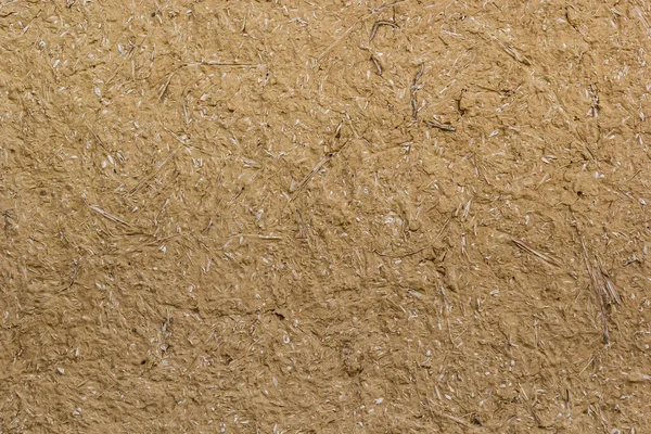 Decorative white wall plaster pattern stylized in bark beetle texture. The white texture of the surface of the wall covered with decorative plaster of the woodworm type, close-up abstract background.
