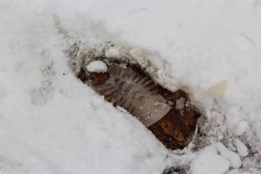 elevated view of footprint on snow covered ground.