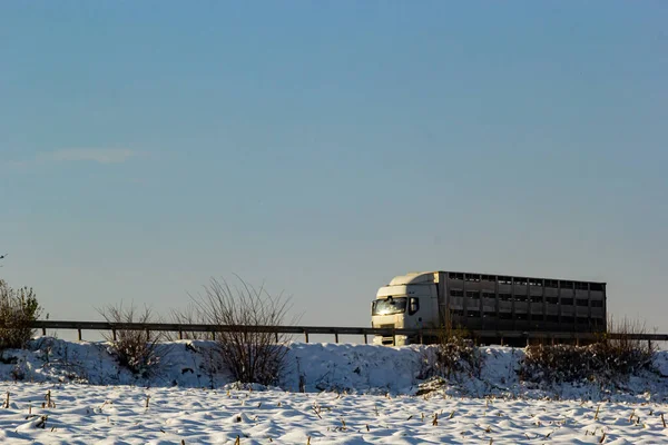 The truck is driving on a winter road. View from the side of the road, image in blue tint.