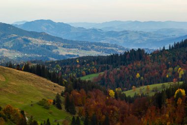 Karpatlar 'da sıcak bir akşam. Dağlarda yaz manzarası. Ukrayna, Avrupa.
