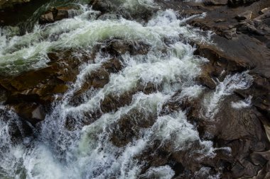 Hızlı su ve büyük kaya kayaları olan dağ nehirleri. İlkbaharda bir dağ nehrinin hızlı akışı, yakın çekim.
