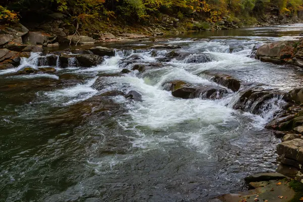 Şelale ve orman Karpat Dağları akışında. Ukrayna. Europe.