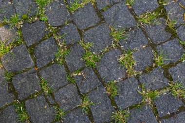 Yoldaki kaldırım taşında yeşil çimenler var. Kentsel planlama, vintage, seyahat temasının arkaplan resmi.